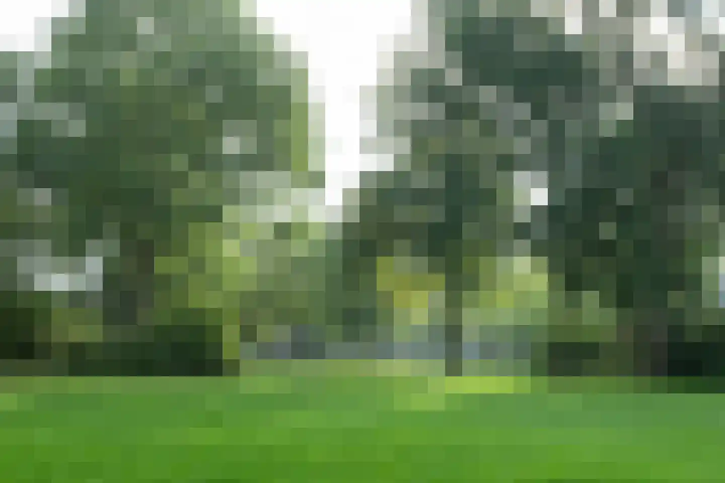 Versproncklaan 11 Heerhugowaard thumbnail 53