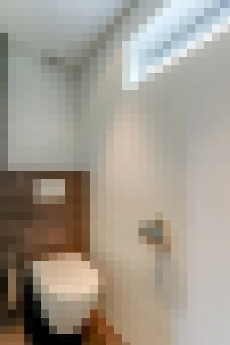 Versproncklaan 12 Heerhugowaard thumbnail 24