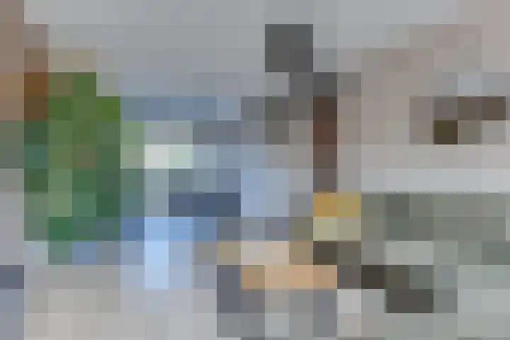 Versproncklaan 3 Heerhugowaard thumbnail 11