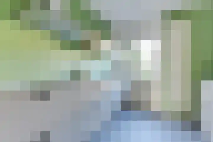 Versproncklaan 3 Heerhugowaard thumbnail 14