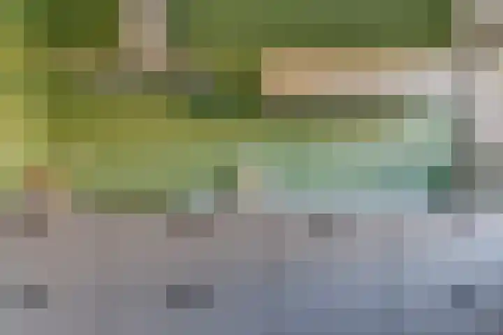 Versproncklaan 3 Heerhugowaard thumbnail 15