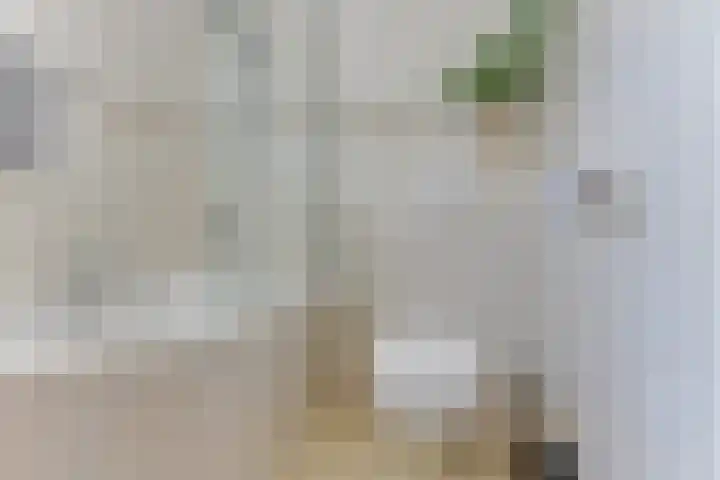 Versproncklaan 3 Heerhugowaard thumbnail 22