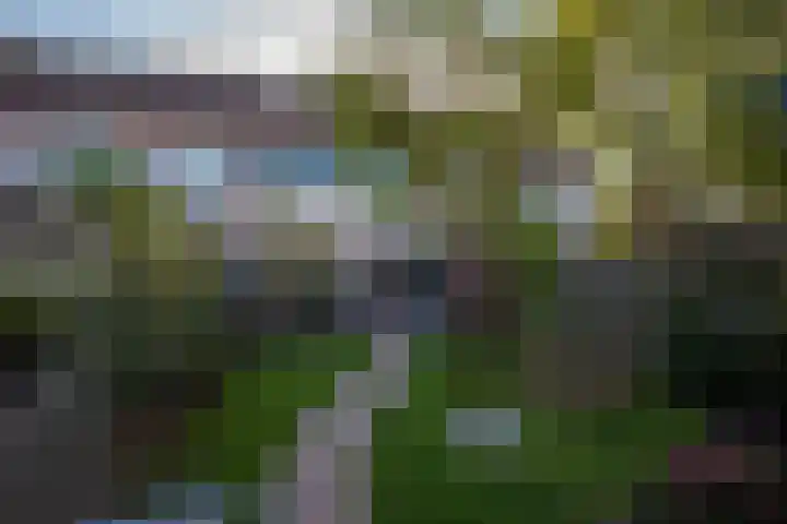 Versproncklaan 3 Heerhugowaard thumbnail 37