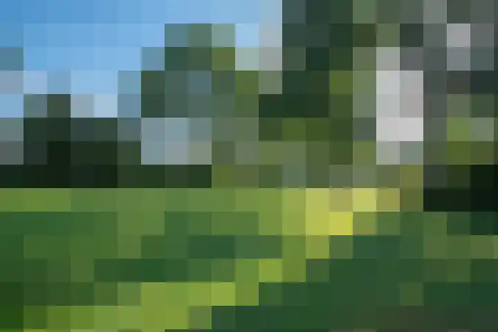 Versproncklaan 3 Heerhugowaard thumbnail 39