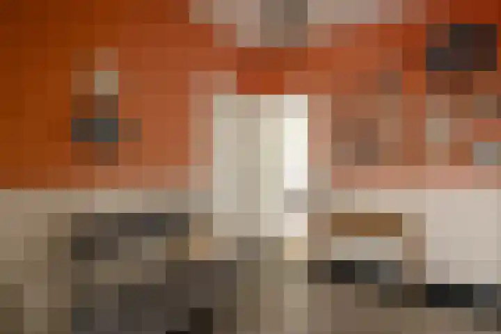 Verspronckweg 100 Haarlem thumbnail 6