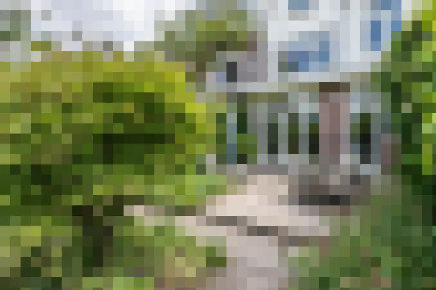 Verspronckweg 155 Haarlem thumbnail 26