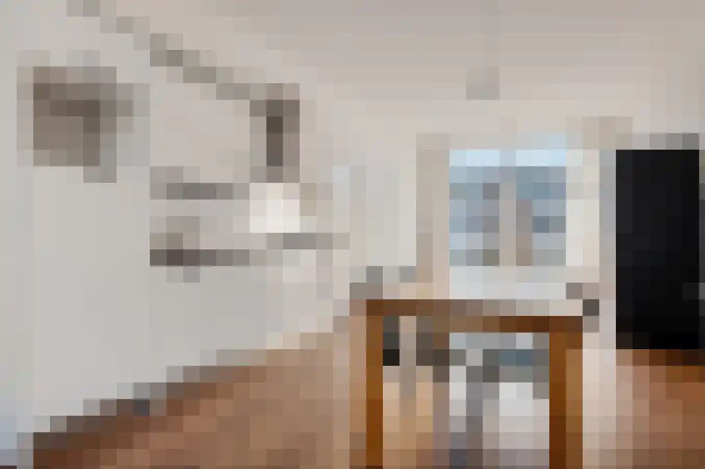 Verspronckweg 2 Haarlem thumbnail 22