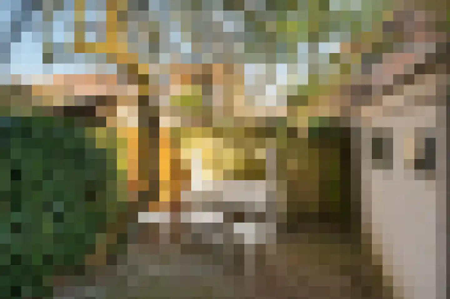 Verspronckweg 2 Haarlem thumbnail 44