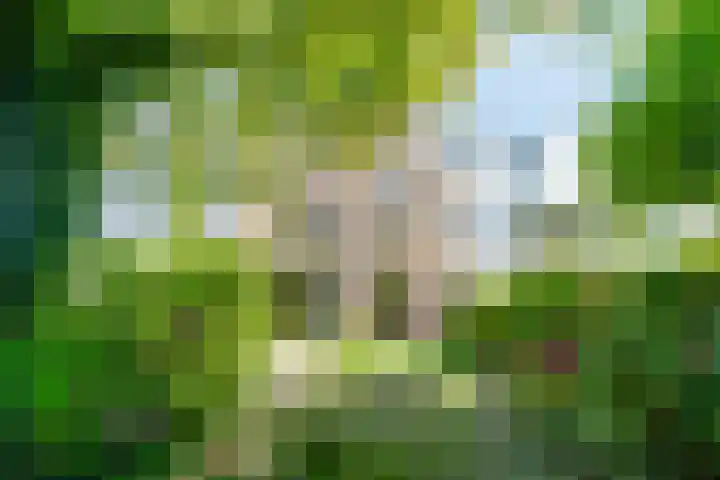 Verspronckweg 21 Haarlem thumbnail 31