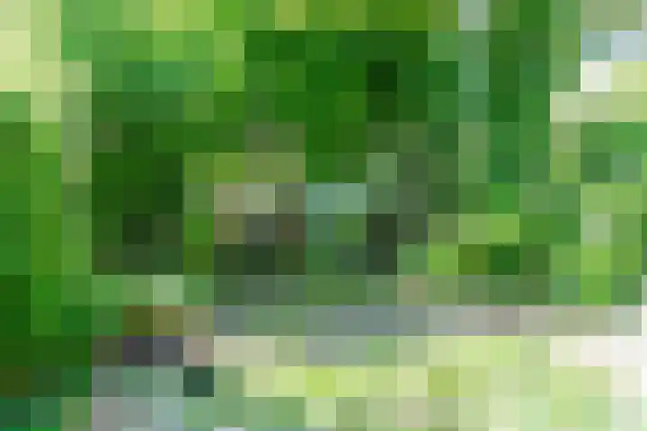 Verspronckweg 21 Haarlem thumbnail 33