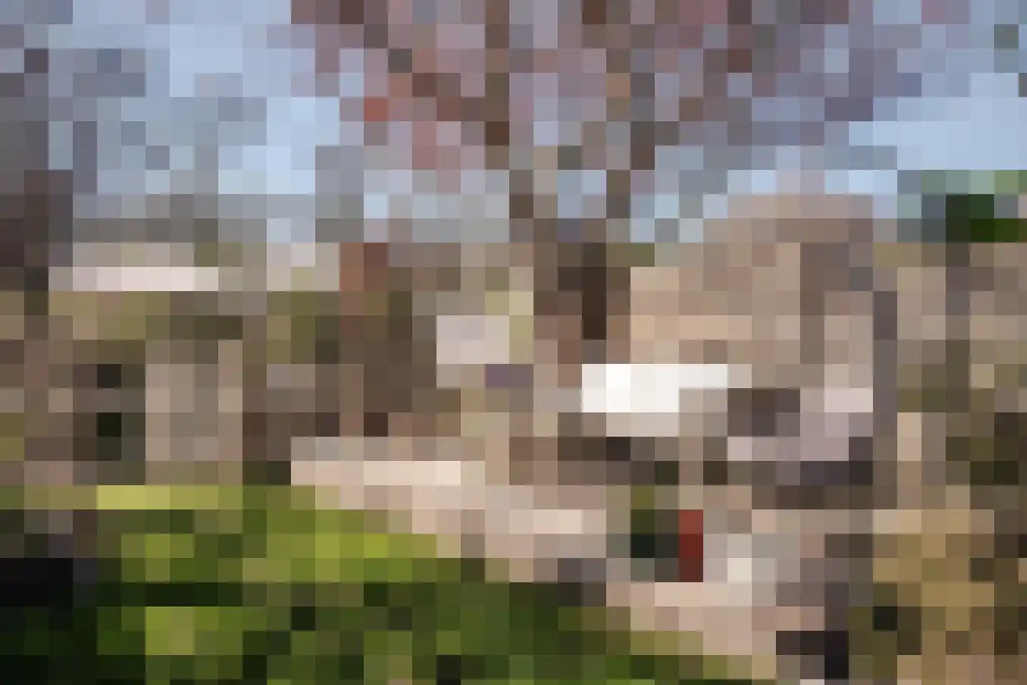 Verspronckweg 275 Haarlem thumbnail 31