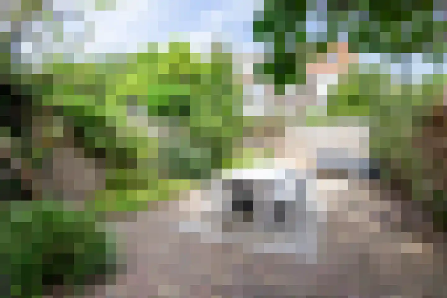 Verspronckweg 6 Haarlem thumbnail 32