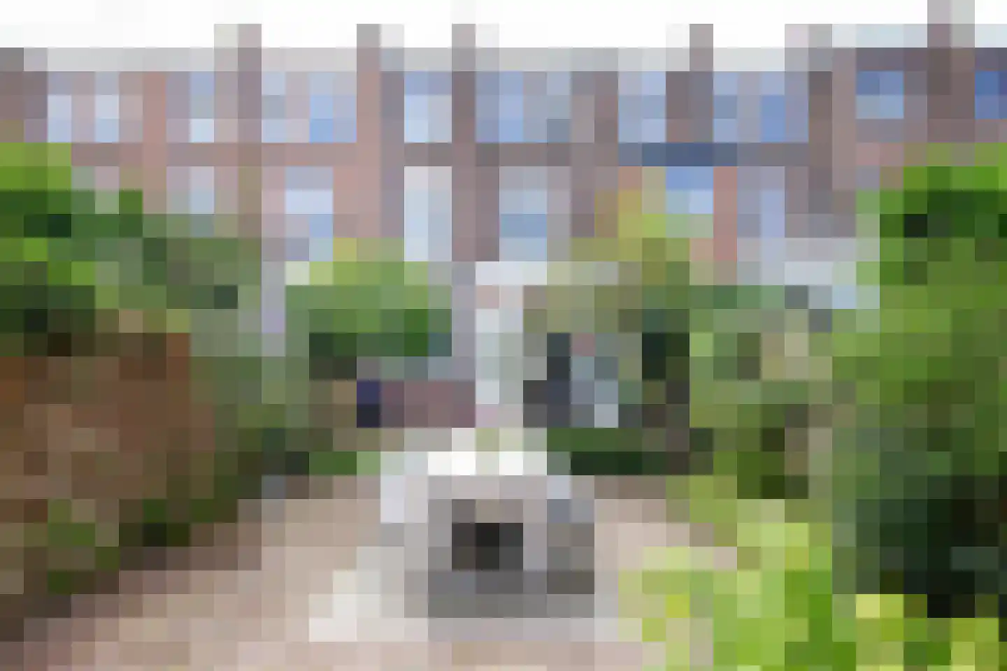 Verspronckweg 6 Haarlem thumbnail 34