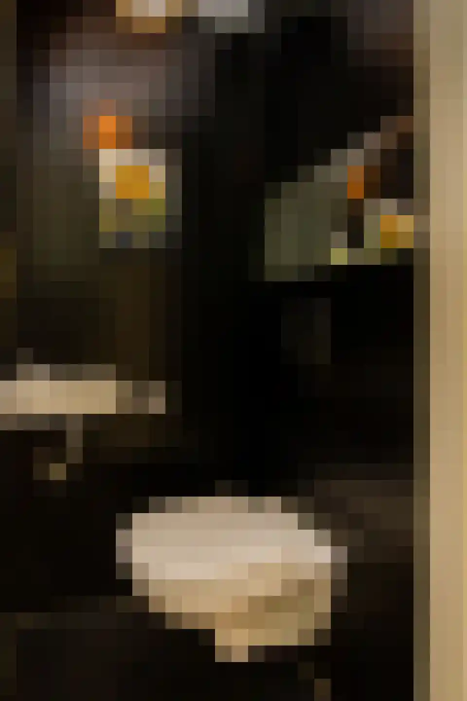Verspronckweg 6 Haarlem thumbnail 36