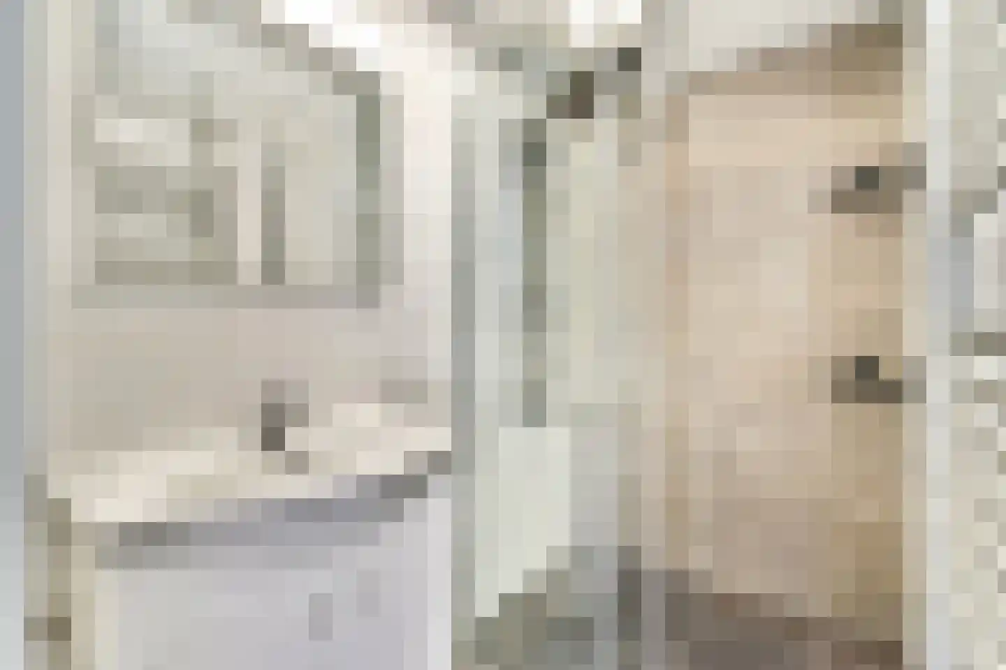 Verspycklaan 62 Naaldwijk thumbnail 10