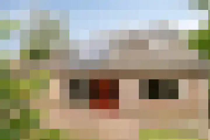 Verspyckweg 10 Bergen aan Zee thumbnail 23