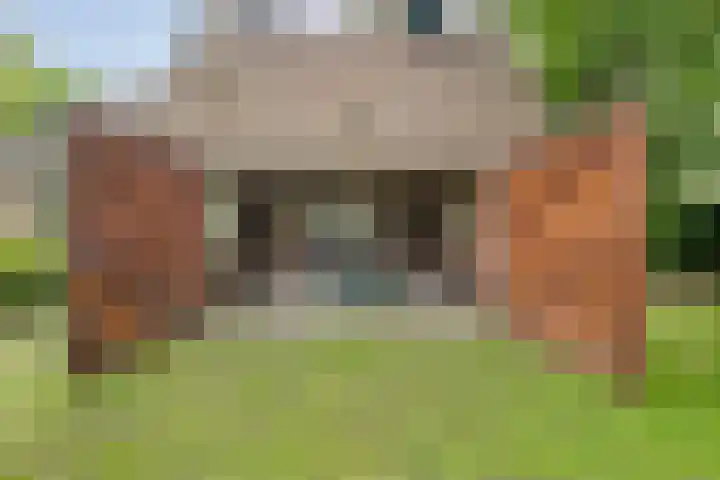 Verspyckweg 10 Bergen aan Zee thumbnail 25