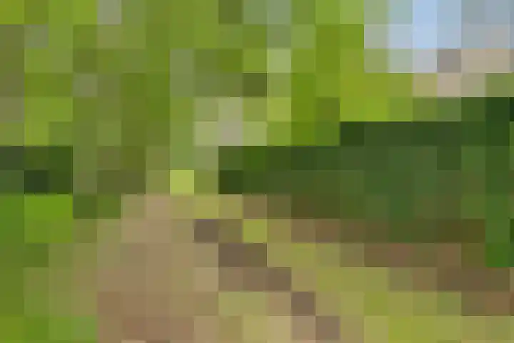 Verspyckweg 10 Bergen aan Zee thumbnail 26