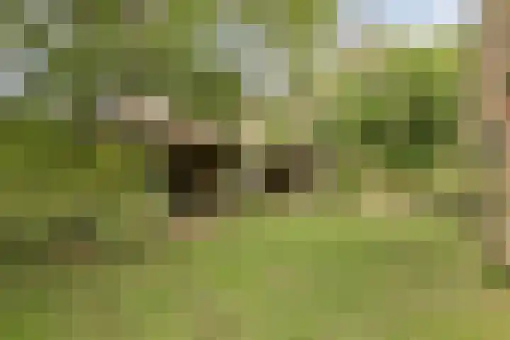 Verspyckweg 10 Bergen aan Zee thumbnail 27