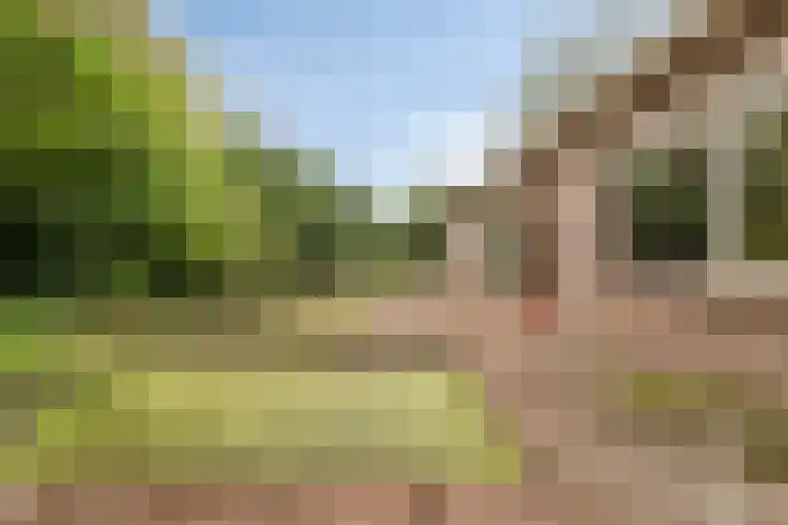 Verspyckweg 10 Bergen aan Zee thumbnail 28