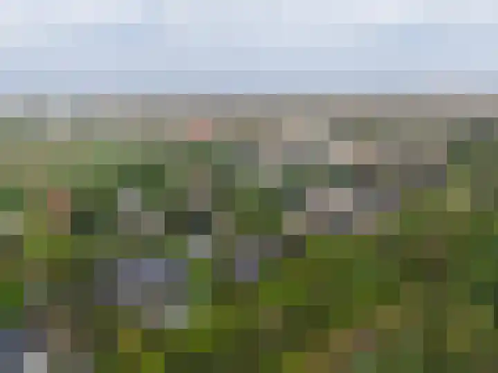 Verspyckweg 10 Bergen aan Zee thumbnail 29