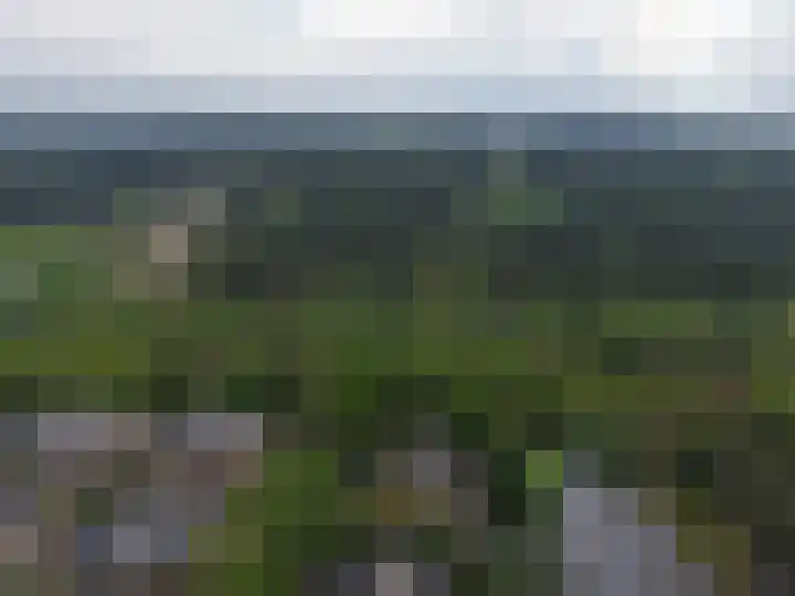 Verspyckweg 10 Bergen aan Zee thumbnail 30