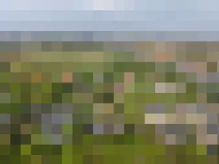 Verspyckweg 10 Bergen aan Zee thumbnail 31