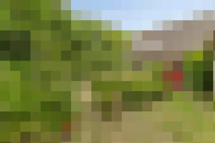 Verspyckweg 10 Bergen aan Zee thumbnail 7