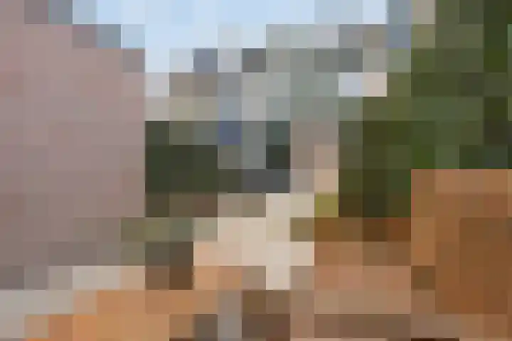 Versteeghlaan 42 Soesterberg thumbnail 4