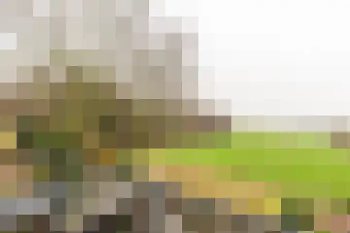 Versteeglaan 120 Groenekan thumbnail 13