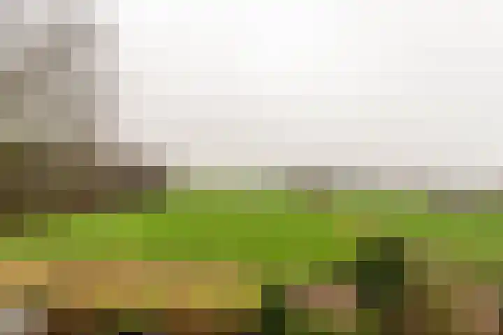 Versteeglaan 120 Groenekan thumbnail 21