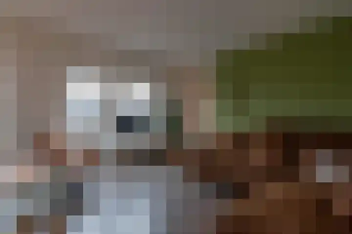 Versteeglaan 120 Groenekan thumbnail 8