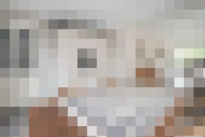 Versteeglaan 17 Barneveld thumbnail 12