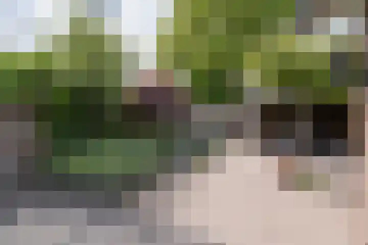 Versteeglaan 17 Barneveld thumbnail 41