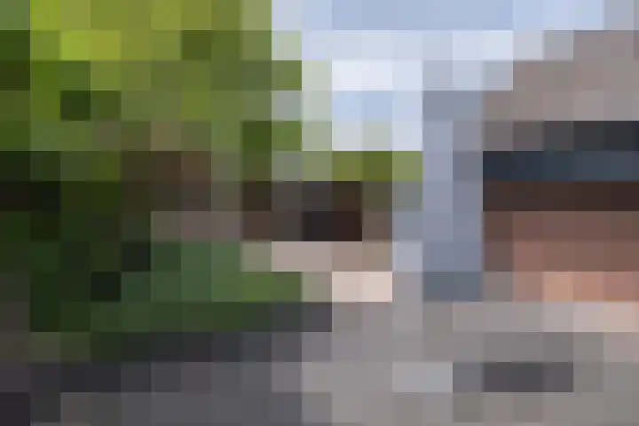 Versteeglaan 17 Barneveld thumbnail 43