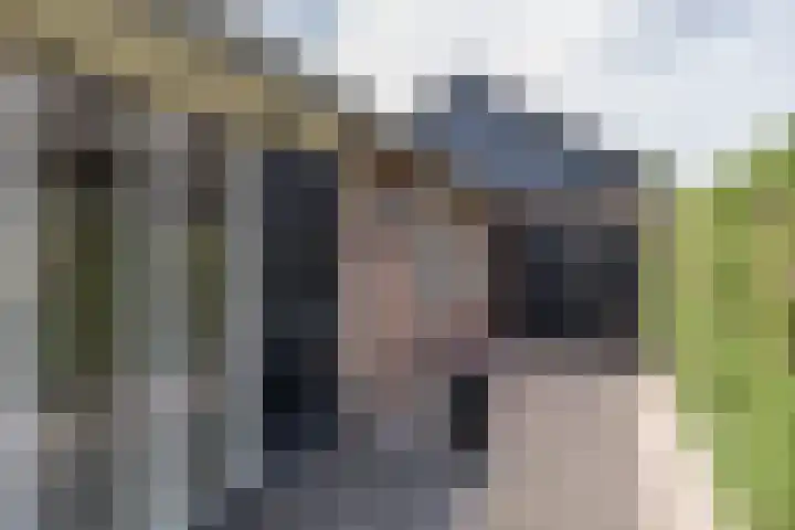 Versteeglaan 17 Barneveld thumbnail 44