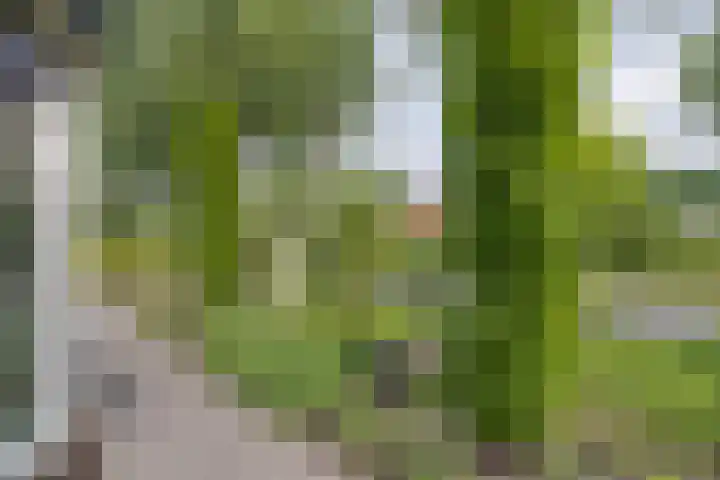 Versteeglaan 17 Barneveld thumbnail 46