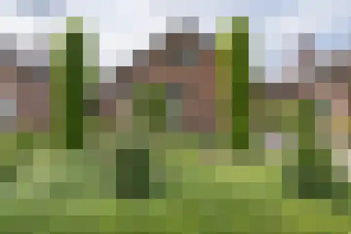 Versteeglaan 17 Barneveld thumbnail 49