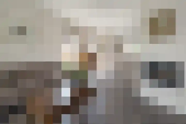Versteeglaan 17 Barneveld thumbnail 5