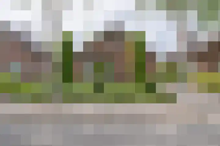 Versteeglaan 17 Barneveld thumbnail 52