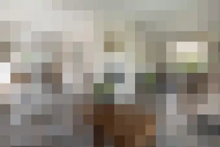 Versteeglaan 17 Barneveld thumbnail 6