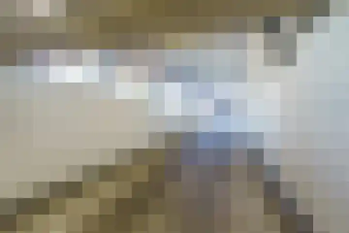 Versteegstraat 17 Voorburg thumbnail 23