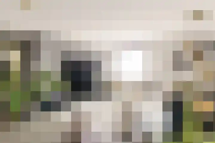 Versteegstraat 17 Voorburg thumbnail 6