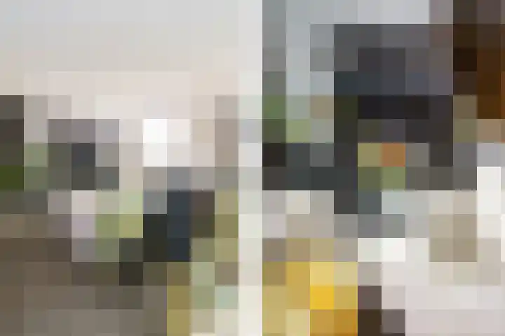 Versteegstraat 17 Voorburg thumbnail 7