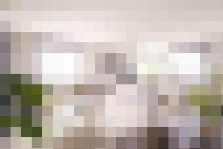 Versteegstraat 17 Voorburg thumbnail 8