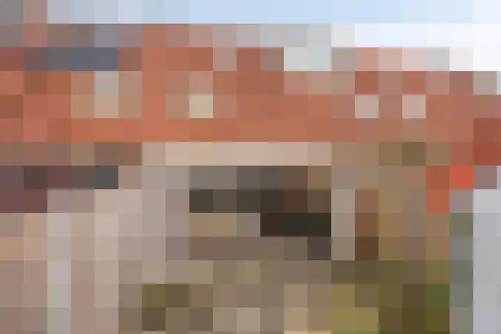 Versteegstraat 18 Deventer thumbnail 26