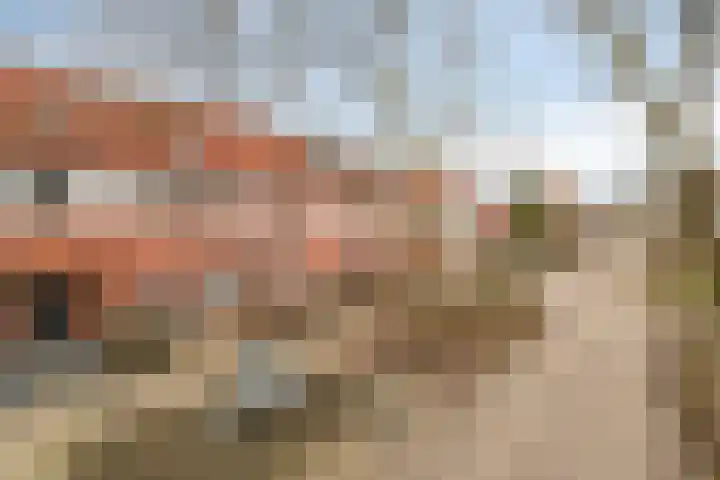 Versteegstraat 18 Deventer thumbnail 32