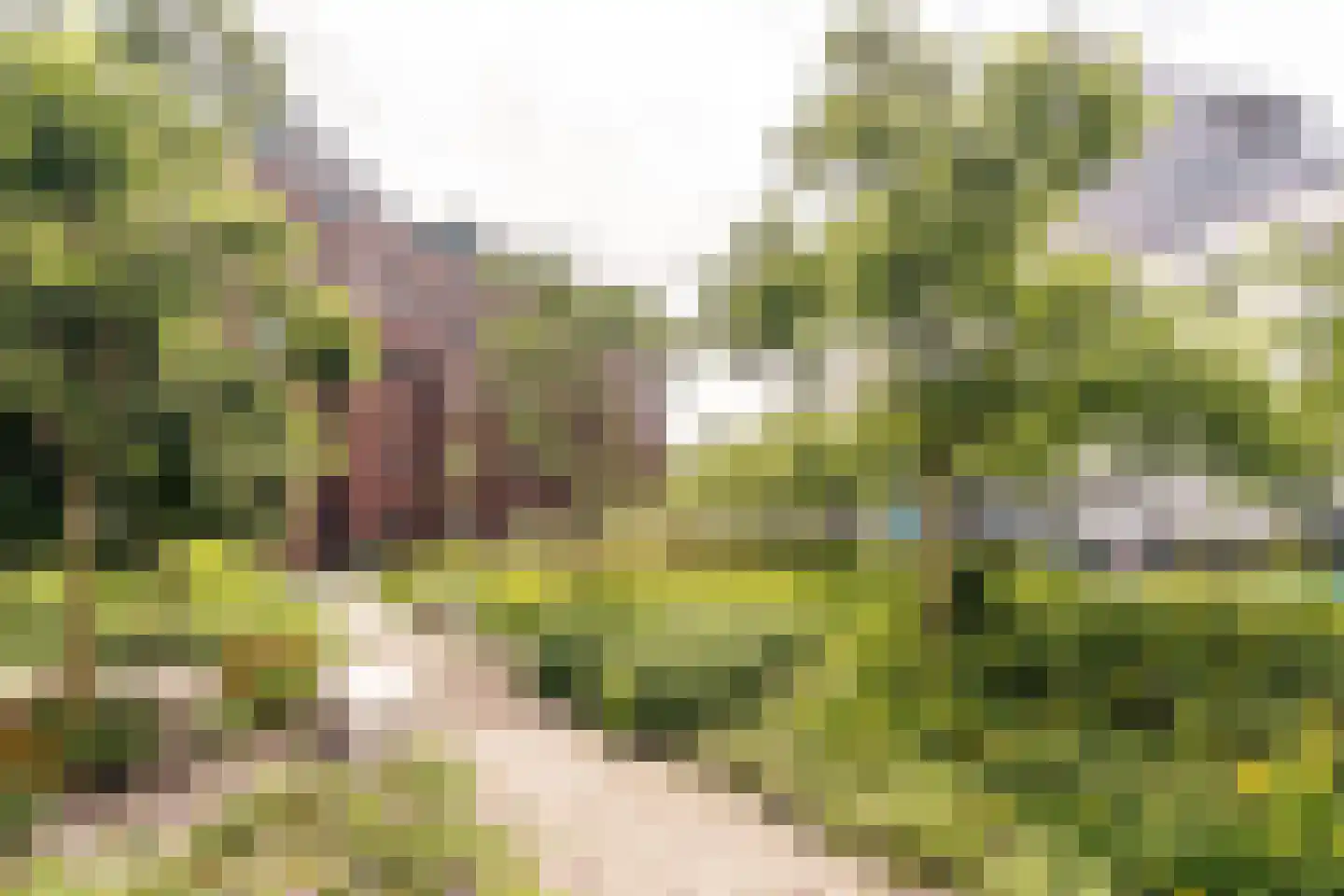 Versteegstraat 19 Voorburg thumbnail 23