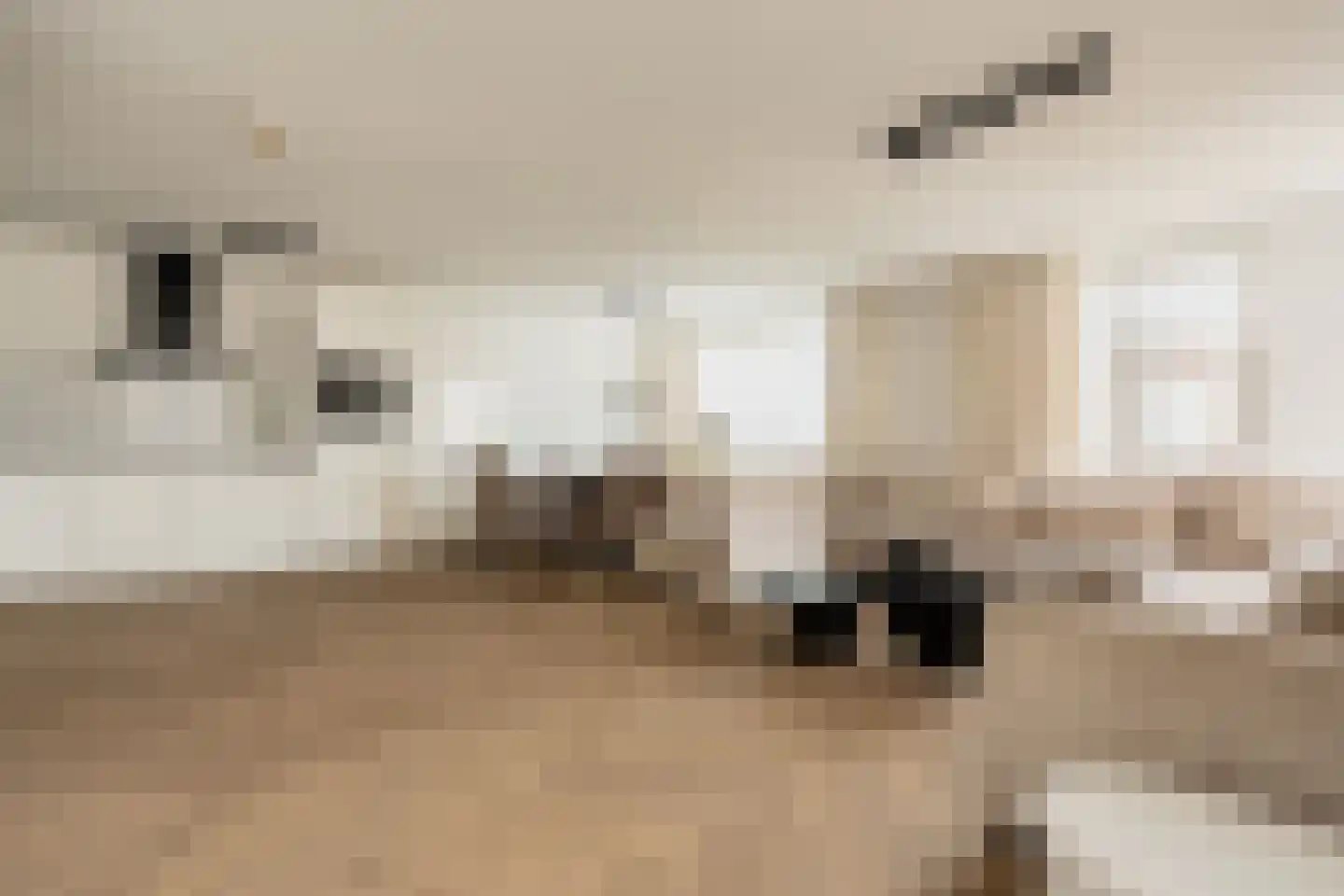 Versteegstraat 19 Voorburg thumbnail 5