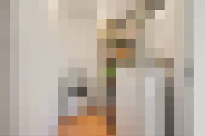 Versteegstraat 55 Voorburg thumbnail 27